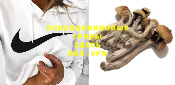 молекула духа Мегион
