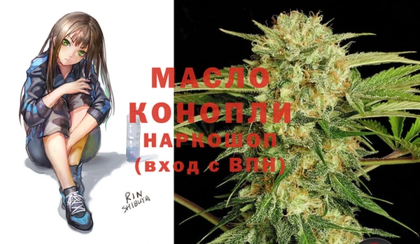 молекула духа Мегион