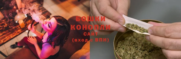 молекула духа Мегион