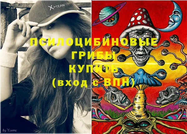 молекула духа Мегион