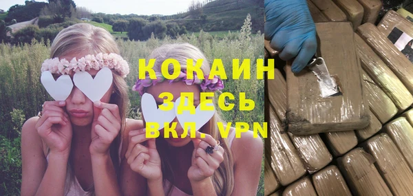 молекула духа Мегион